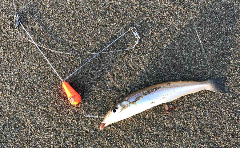 １本の竿でいろいろ釣れる チニングロッド が超便利 その汎用性をご紹介 釣りあび